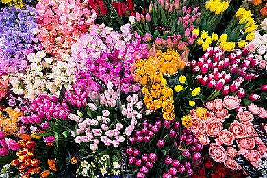 成就系统遭泄露 《火线迈阿密1+2》或将登陆PS5